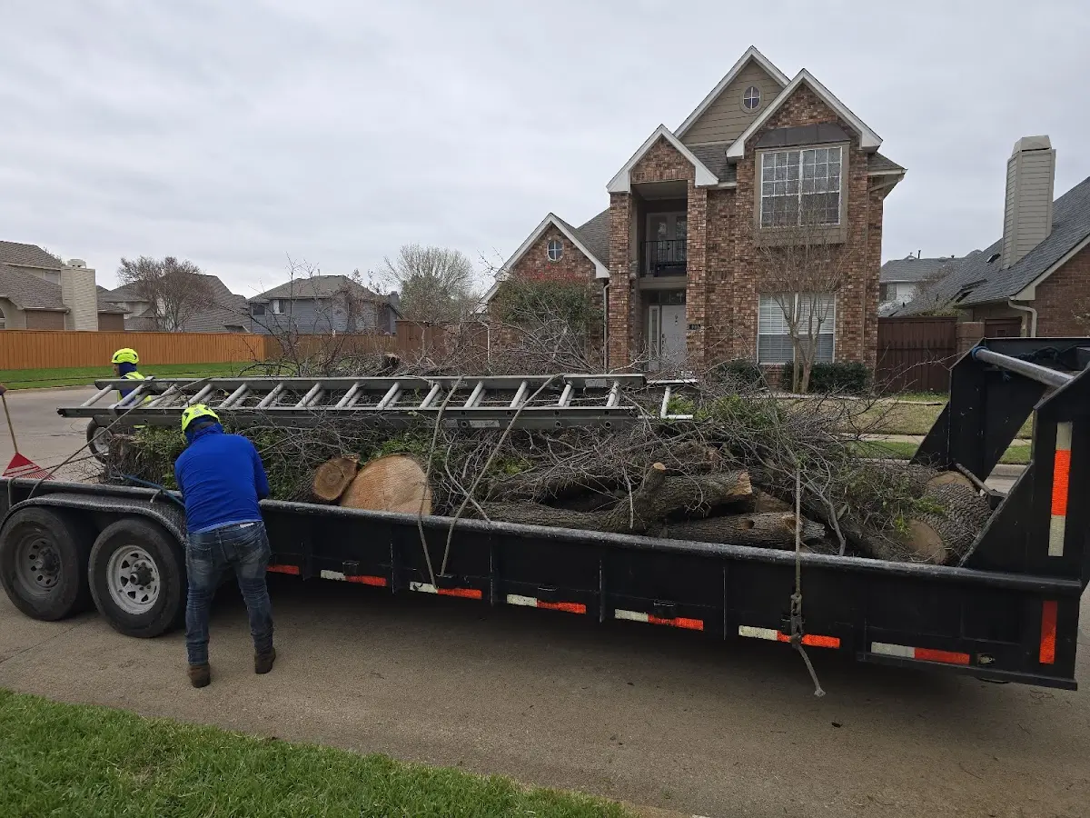 Expert Lot Clearing with proper safety equipment in Odon